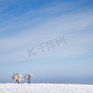 雪摄影照片_霜冻中的树和蓝天雪中的风景