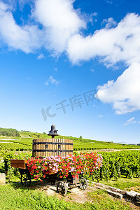 酒业摄影照片_法国勃艮第 Pommard 附近的 Cote de Beaune 葡萄园