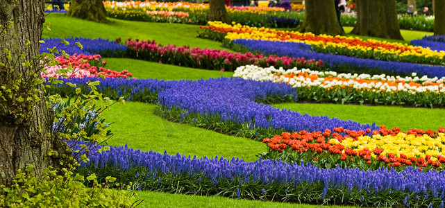 彩色边框摄影照片_公园里有春花的彩色边框