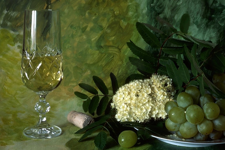 白葡萄酒与水果和鲜花