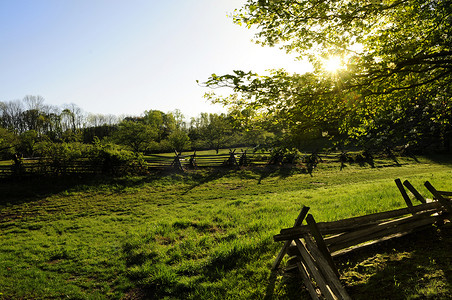 房地产阳光摄影照片_阳光穿过农场的树木