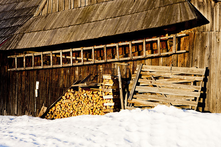 斯洛伐克别良斯凯塔特拉山 (Belianske Tatras) Zdiar 的小屋