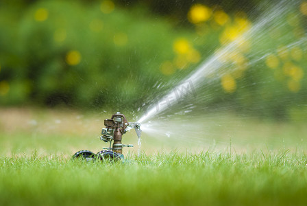 草坪洒水器