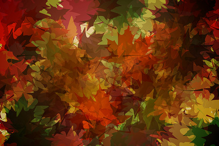 绿色暖色调摄影照片_暖色调的秋叶图案