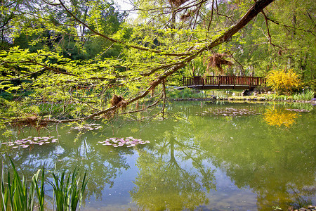 植物园湖春景
