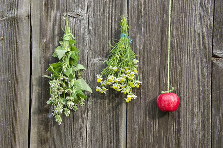 医疗生活摄影照片_药草花和墙上的红苹果