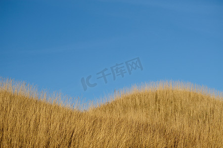 秋天电商首页摄影照片_秋天的山丘和蓝天