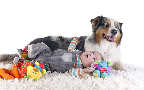 可爱婴儿背景摄影照片_婴儿和澳大利亚牧羊犬