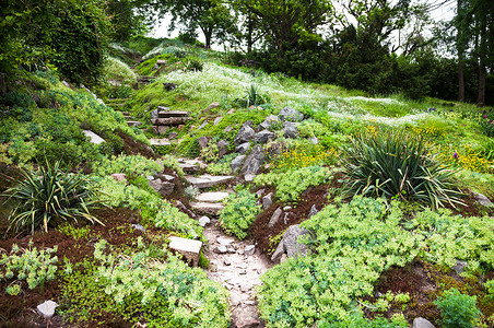 绿色花园中的石路和楼梯