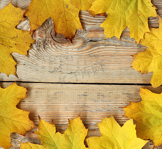 木质纹理上的枫叶框