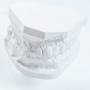 口腔学摄影照片_白色背景下人类下巴的石膏模型。
