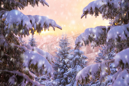 梦幻2摄影照片_美丽的冬季自然