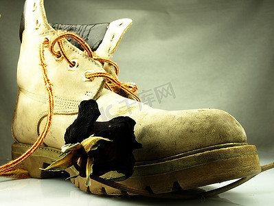 旧的、沉重的鞋子践踏着枯萎的玫瑰。