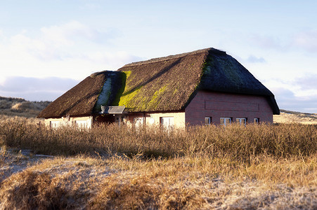 茅草屋顶的房子