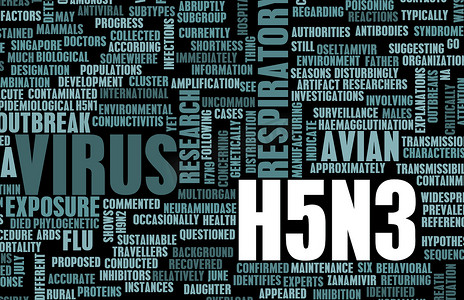 H5N3