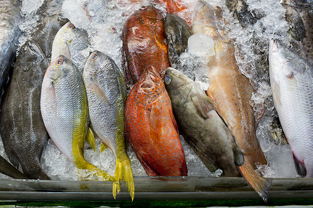 计数器轮播摄影照片_市场特写背景中的各种鲜鱼海鲜