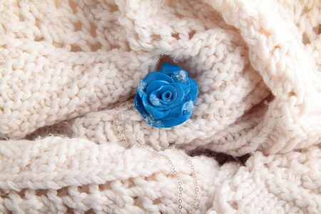 时尚蓝玫瑰-首饰