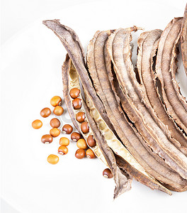 豌豆公主摄影照片_白盘上的干四棱豆种子和豆荚