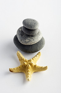 天然温泉元素 — 带星壳和石头的贝壳