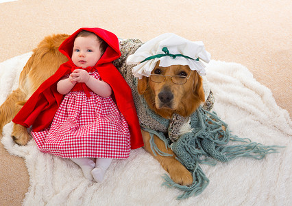 动物的角摄影照片_小红帽宝宝和狼狗当奶奶