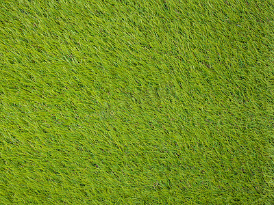 绿背景摄影照片_人造草坪日本绿