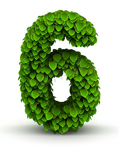 数字 6，绿叶字体