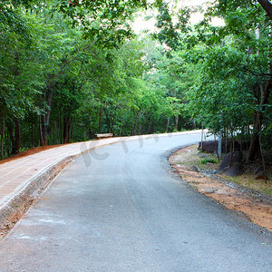 弯曲的道路，两边都有树木