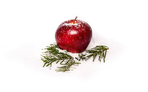 冬天水果摄影照片_雪中​​有冷杉枝条的红苹果