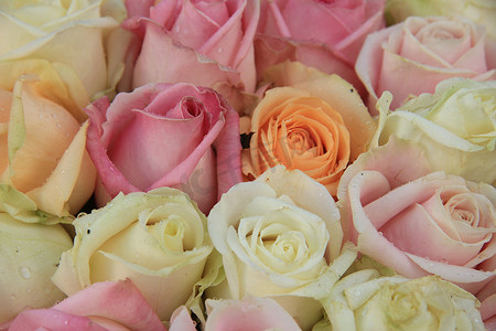 淡色国风水墨背景摄影照片_婚礼安排中的淡色玫瑰