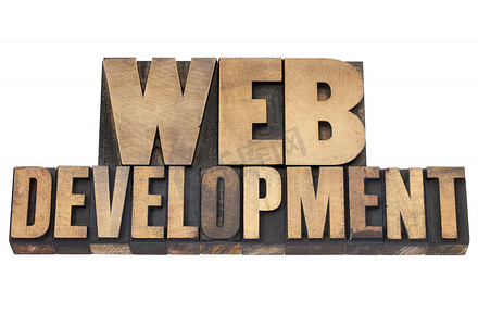 木材类型的 web 开发