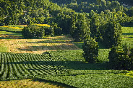 法国绿色田野全景