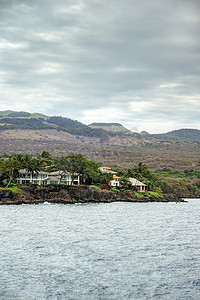 棕榈树页摄影照片_毛伊岛海滨之家