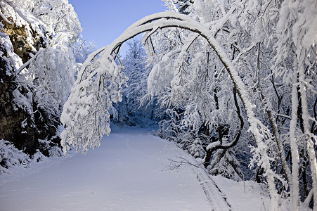 年中喜饰摄影照片_一年中的下雪时间