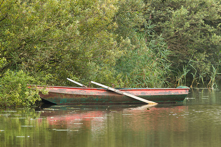 红色划船摄影照片_湖上的红色划艇