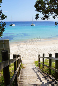 木板路景观澳大利亚卷心菜树海滩