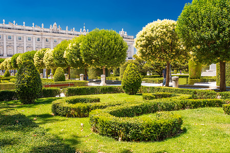 草点缀摄影照片_马德里的皇家花园