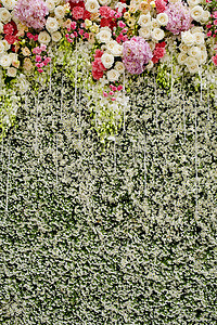 五颜六色的花朵与绿色的墙壁作为婚礼背景