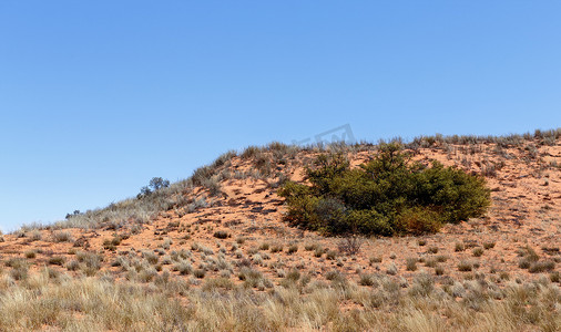 跨境电信网络诈骗摄影照片_Kgalagadi 跨境公园的平原