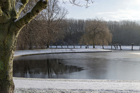 寒冷的冬天结冰的池塘