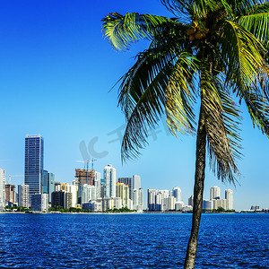 迈阿密摄影照片_迈阿密市区天际线