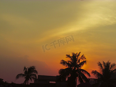 蓝渐摄影照片_夕阳与云彩在椰子树的剪影