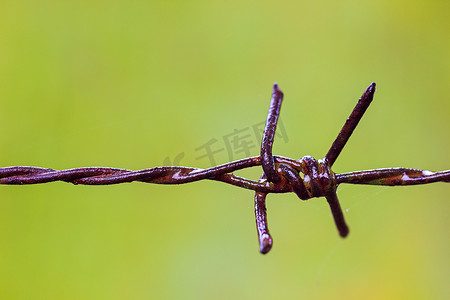 雨淋摄影照片_老生锈的铁丝网和蜘蛛网被雨淋湿了