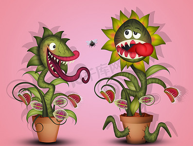 食虫植物插画