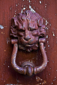 设计门头摄影照片_古代狮子形门环