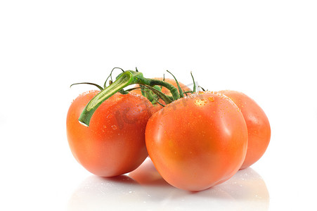 白色背景中的小枝和番茄
