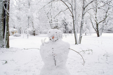 雪人手胡萝卜鼻树白霜公园