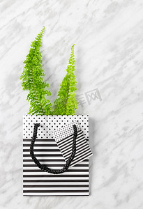 灰色枝条摄影照片_大理石背景中礼品袋中的绿色蕨类植物枝条
