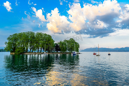 瑞士日内瓦湖小岛上的树木