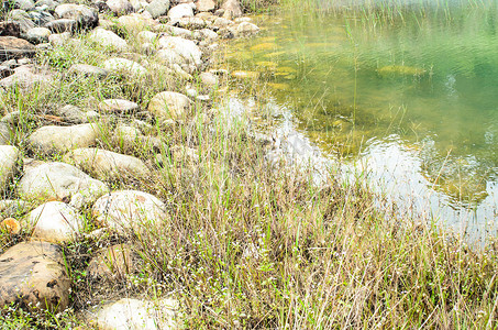 受污染的池塘摄影照片_岩石和池塘