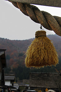 秋天的白川乡村，绳子上挂着稻草穗（代表圣洁的稻草绳）